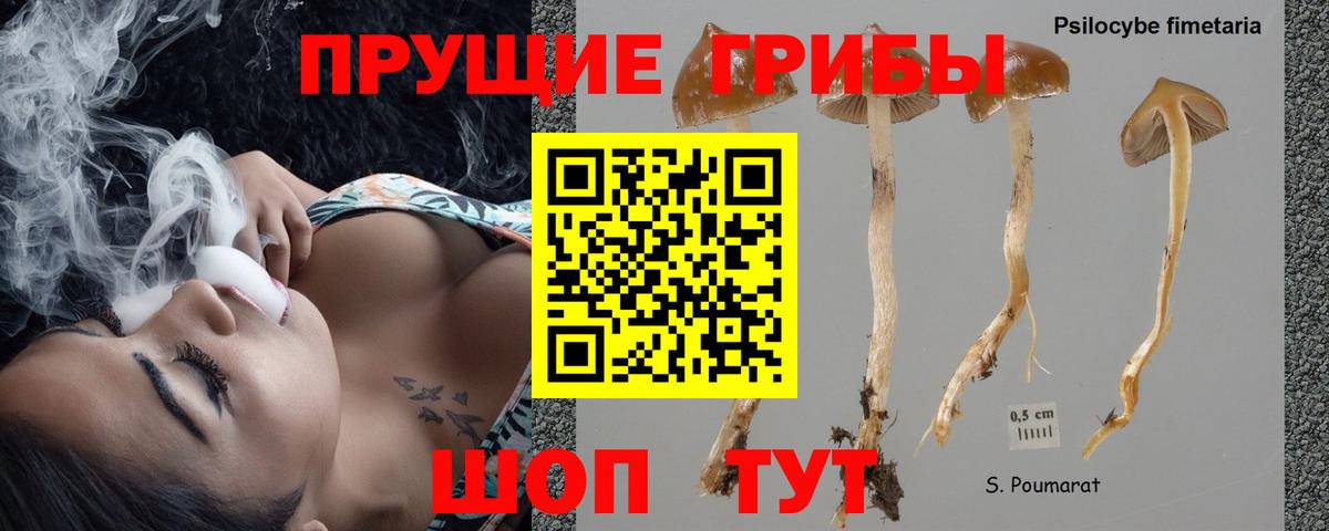 Галлюциногенные грибы Magic Shrooms  Галлюциногенные грибы MAGIC MUSHROOMS  Ейск  Вход с VPN 